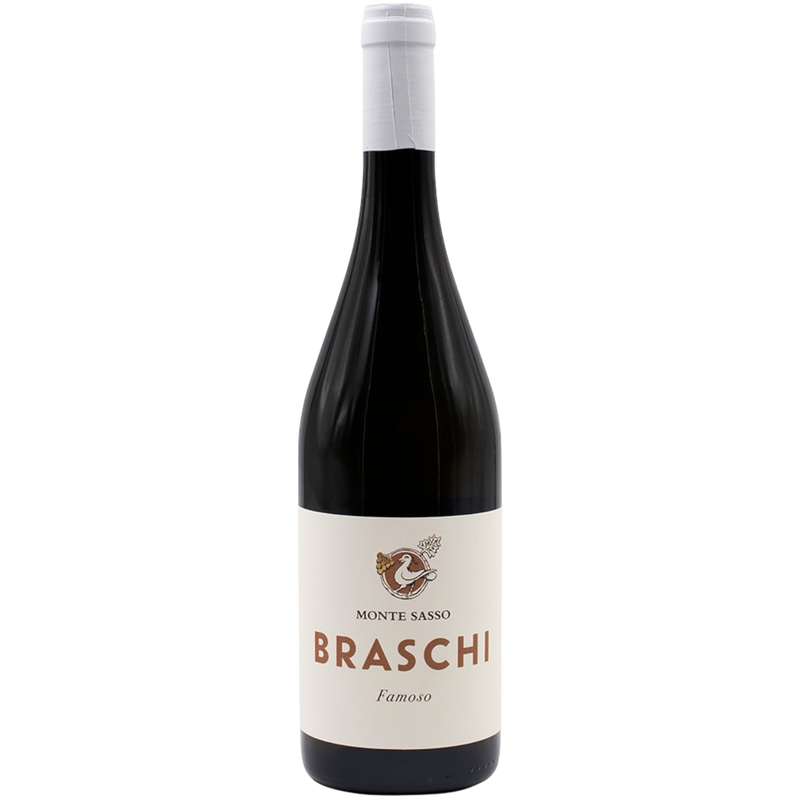 04_ROMAGNA - BRASCHI - 0025 - Monte Sasso • Famoso